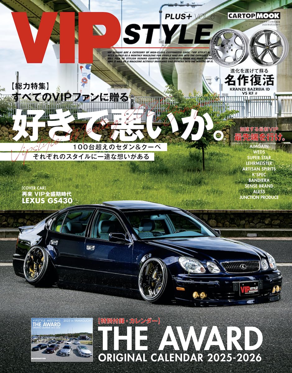 VIP STYLE Plus Vol.6